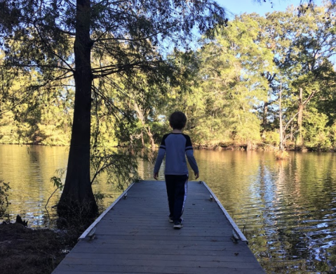 A Scenic Oasis Awaits You At Louisiana's Beautiful Chemin-A-Haut State Park