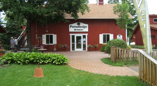 The State’s Best-Kept Secret Winery Might Just Be Forestedge Winery Way Up In Laporte, Minnesota