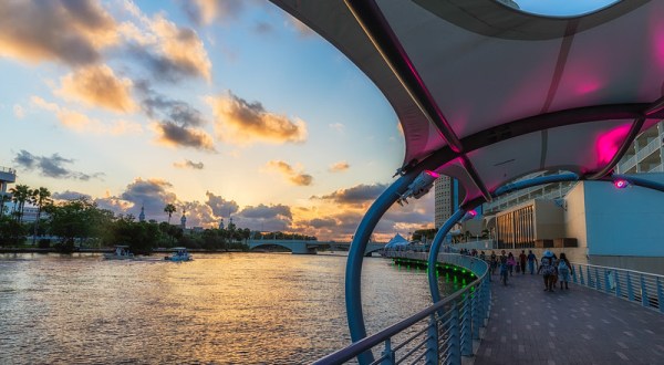 Take A 2.6-Mile Stroll Along The Tampa Riverwalk In Florida