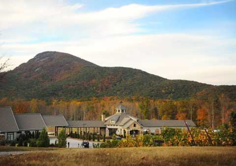 Explore Over 20-Acres Of Vineyards And Georgia’s Only Wine Cave At Yonah Mountain Vineyards