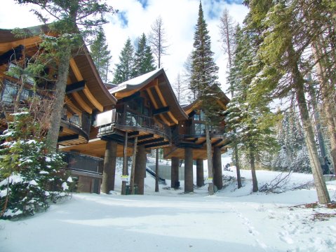 There's A Treehouse Village In Montana Where You Can Spend The Night