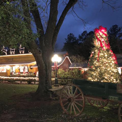 A Holly Jolly Time Is Practically Guaranteed At Landrum's Christmas Candlelight Tour In Mississippi    
