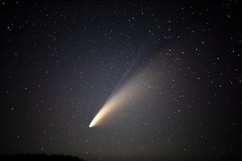 The Night Sky In Texas Will Light Up With Four Different Meteor Showers This November