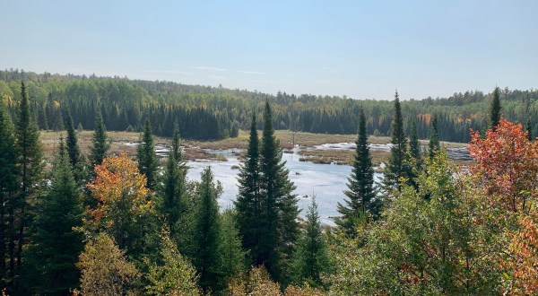 Minnesota’s Only National Park Is Also The Best Place To See Beavers In The United States