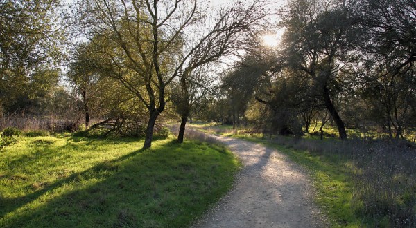 Stretch Your Legs At Effie Yeaw Nature Center, A 100-Acre Preserve In Northern California That’s Home To 3 Nature Trails