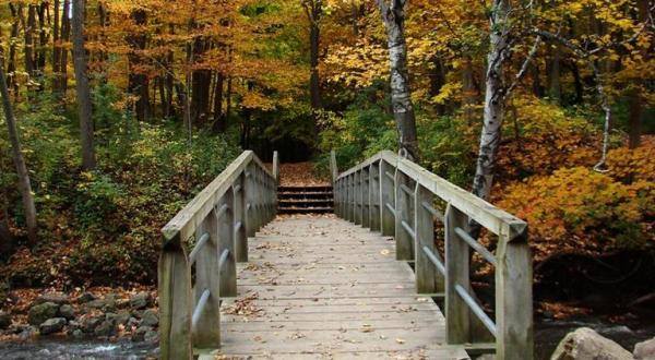 Explore Trails, A Natural Spring, And Even A Biergarten At Petrifying Springs Park In Wisconsin      