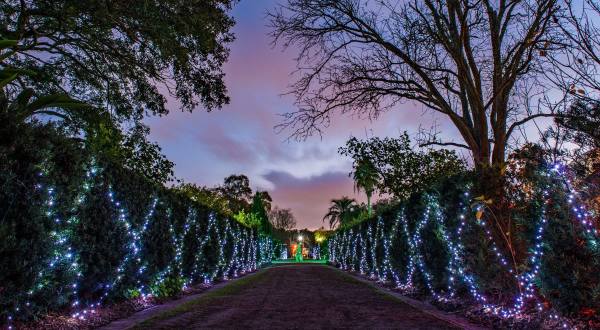 Kick Off The Holidays With A Visit To The Enchanting Celebration In The Oaks In New Orleans