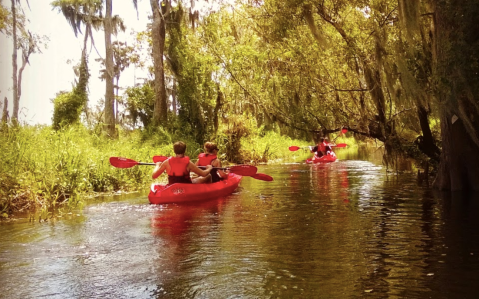 Kayak Down The Bogue Falaya River In Louisiana For An Epic Day Of Fun In The Sun