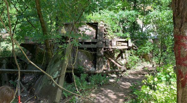 Explore A Canyon, Sandbars, And Train Wreckage At Red Bluff In Mississippi
