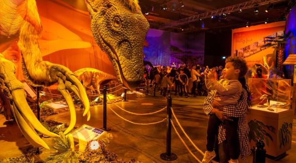 An Interactive Exhibit Like No Other, Dinosaurs Around The World Is Here In Mississippi