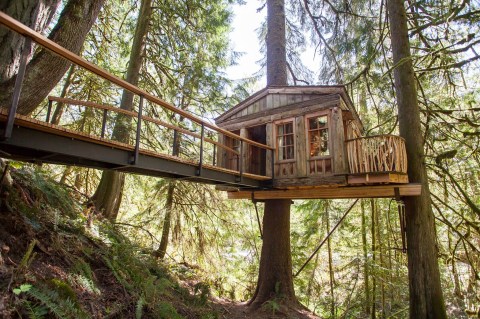 There's A Treehouse Village In Washington Where You Can Spend The Night