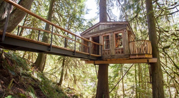 There’s A Treehouse Village In Washington Where You Can Spend The Night