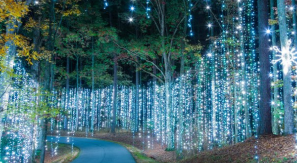 Georgia’s Enchanting 5-Mile Fantasy In Lights Holiday Drive-Thru Is Sure To Delight