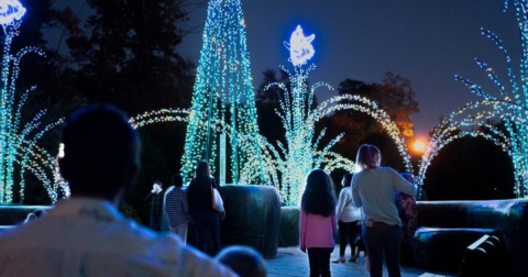 Take The Holiday Walk Through Winter Wonderlights In North Carolina This Year For Fantastic Family Fun