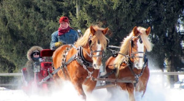See The Charming Town Of South Bend In Indiana Like Never Before On This Delightful Carriage Ride