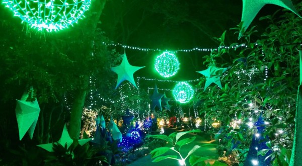Marvel At Fantastical Holiday Light Displays At Elizabethan Gardens In North Carolina This Season