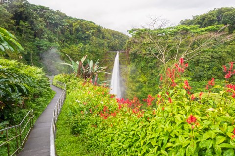 Akaka Falls Is A Scenic Outdoor Spot In Hawaii That's A Nature Lover’s Dream Come True