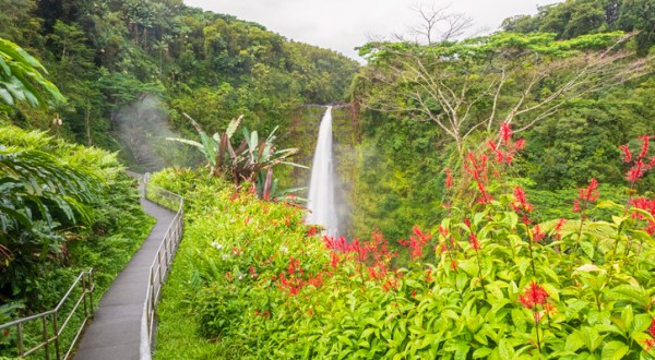 Akaka Falls Is A Scenic Outdoor Spot In Hawaii That’s A Nature Lover’s Dream Come True