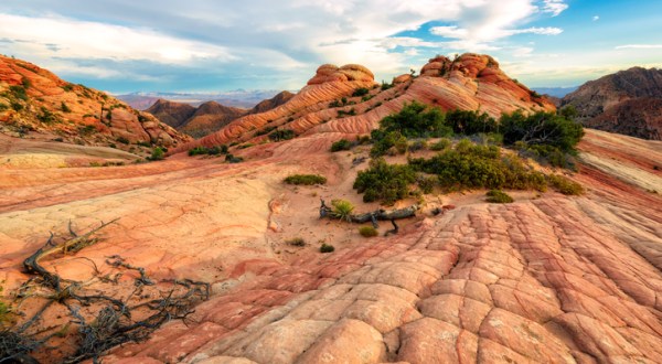 Hike To The Candy Cliffs In Utah To See Vibrant Colors