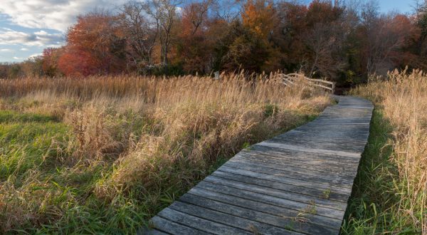 Take A Boardwalk Stroll Alongside Massachusetts Wildlife At Daniel Webster Wildlife Sanctuary