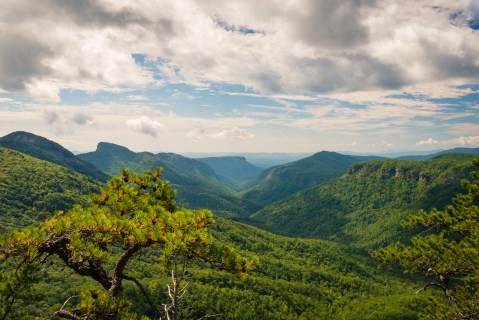 The 8.2-Mile Hike To Reach North Carolina's Very Own Grand Canyon Is Worth Every Step