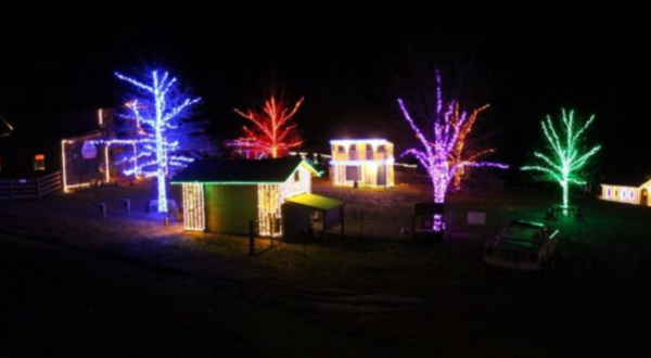 There’s No Better Place To Share In The Joy Of Christmas In Mississippi Than Lazy Acres Farm 