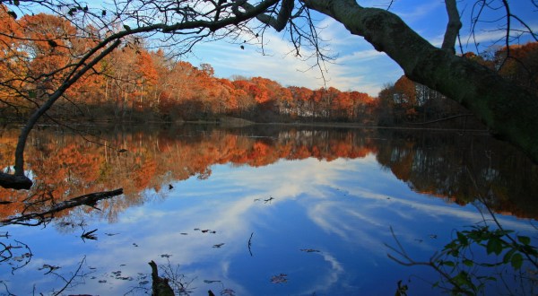 Discover The Beautiful Lakes Of Burlington County, New Jersey This Fall