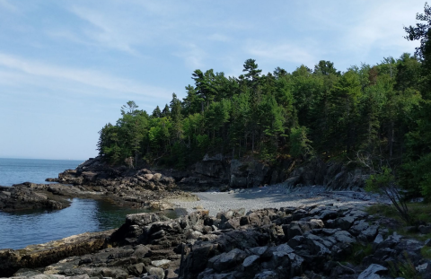 The Compass Harbor Trail Might Be One Of The Most Beautiful Short-And-Sweet Hikes To Take In Maine