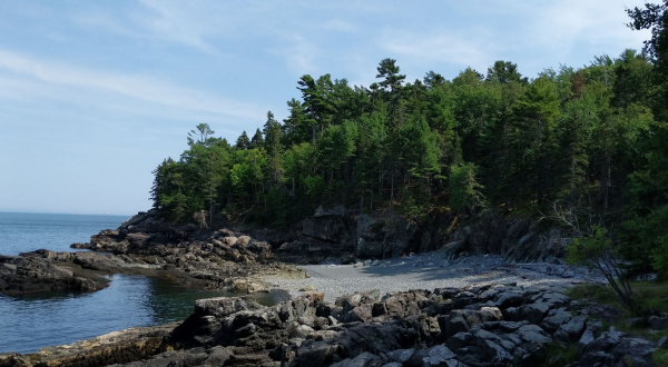 The Compass Harbor Trail Might Be One Of The Most Beautiful Short-And-Sweet Hikes To Take In Maine