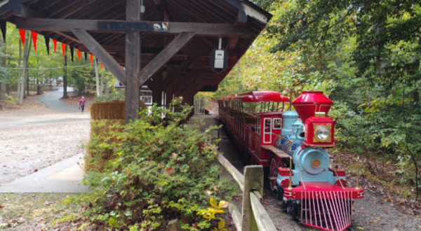 Ride A Magical Miniature Train Through The Woods Of Burke Lake Park In Virginia