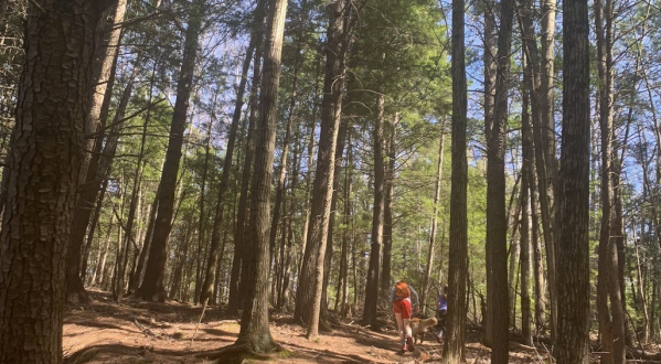 Take An Easy Loop Trail Past Some Of The Prettiest Scenery In Maine On The Philbrick Trail