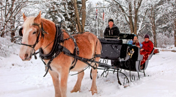 See The Charming Woods Of North Conway In New Hampshire Like Never Before On This Delightful Sleigh Ride