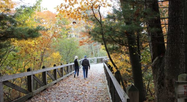 Wander Along The Water When You Visit The 239-Acre Hemlock Crossing Park In Michigan