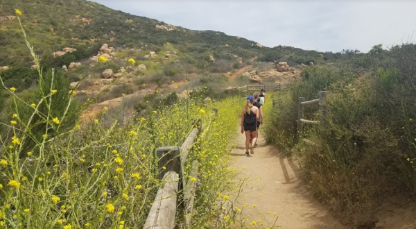 The Enchanting Cowles Mountain Hiking Trail Tucked Inside This One Southern California Park Will Leave You Feeling Accomplished