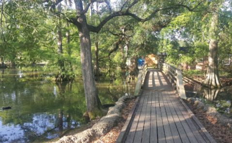Park It At One Of These 8 Scenic Louisiana Parks For A Peaceful Retreat From It All