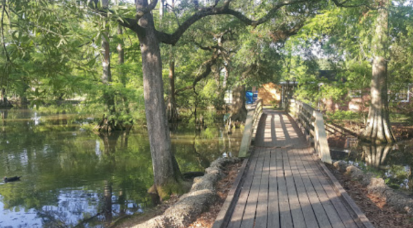 Park It At One Of These 8 Scenic Louisiana Parks For A Peaceful Retreat From It All