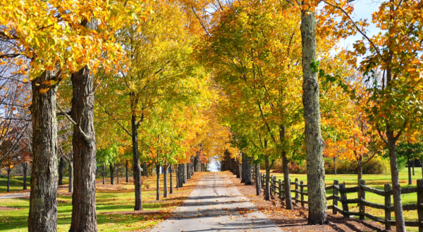 Sharon Is A Small, Rural Town In Vermont That Is A Gem To Visit In Autumn