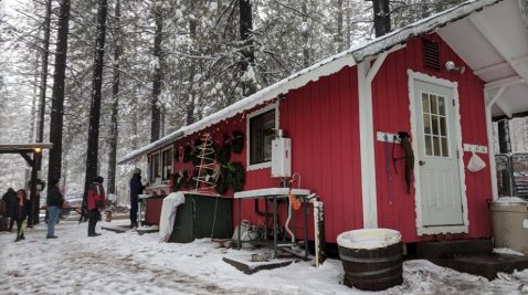 Pick And Cut Your Own Christmas Tree This Season At Snowy Peaks Tree Farm In Northern California