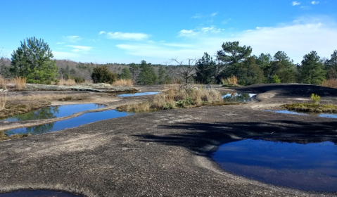 This 1.7-Mile Hike In South Carolina Is Full Of Jaw-Dropping Natural Pools