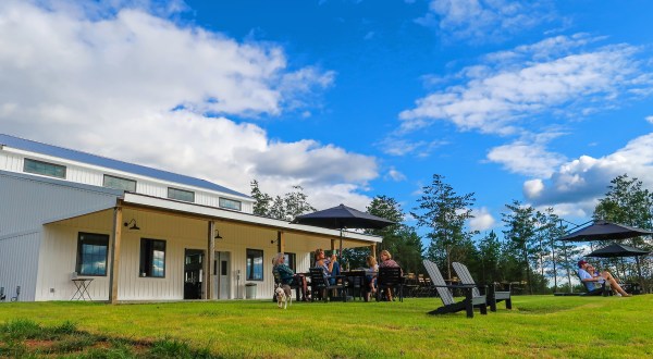 Sip Local Wine On A Grass Terrace Facing The Blue Ridge Mountains At Serre Vineyards In North Carolina