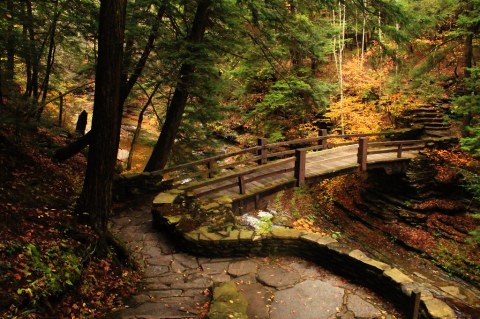 This State Park Is One Of Western New York's Most Beautiful Hidden Gems