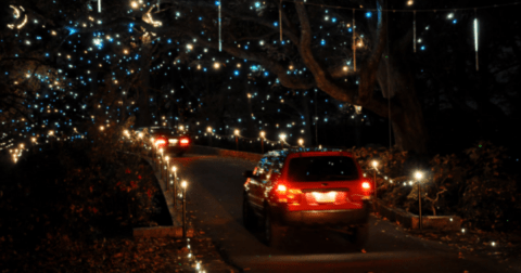 Virginia's Enchanting Garden Of Lights Holiday Drive-Thru Is Sure To Delight