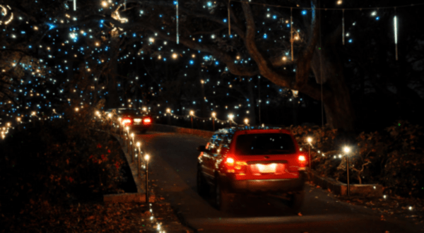 Virginia’s Enchanting Garden Of Lights Holiday Drive-Thru Is Sure To Delight