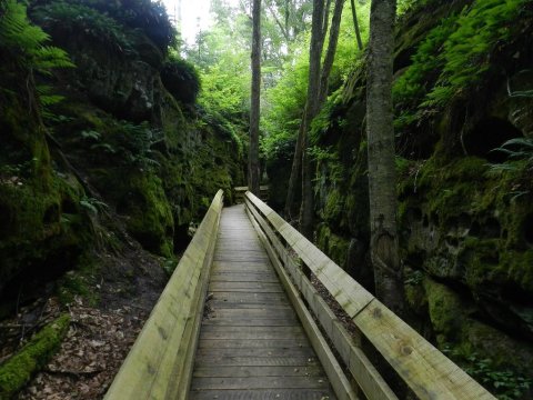 Beartown State Park In West Virginia Is So Well-Hidden, It Feels Like One Of The State's Best Kept Secrets