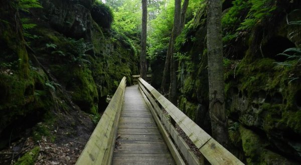Beartown State Park In West Virginia Is So Well-Hidden, It Feels Like One Of The State’s Best Kept Secrets