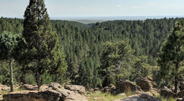 This Short And Sweet Hike In Wyoming Is Just 3 Miles Long, And You Can Enjoy It All Year