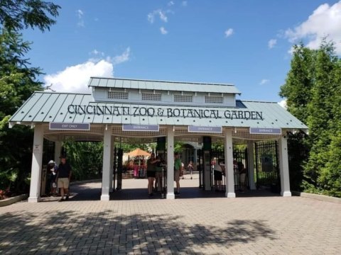 Ohio's Cincinnati Zoo And Botanical Garden Has Been Voted One Of The Best Zoos In The U.S.