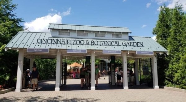 Ohio’s Cincinnati Zoo And Botanical Garden Has Been Voted One Of The Best Zoos In The U.S.