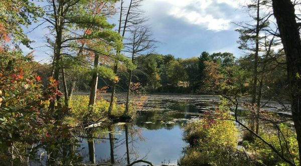 Take An Easy Loop Trail Past Some Of The Prettiest Scenery In Rhode Island On The Fisherville Brook Wildlife Refuge Trail
