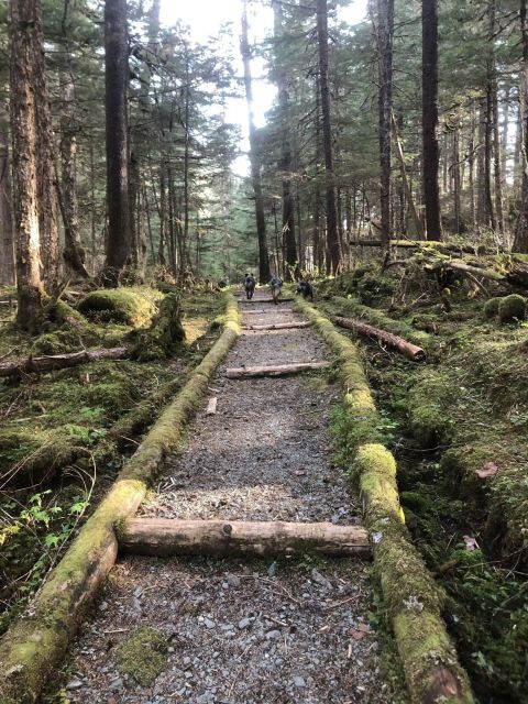 Hike Through The Alaskan Old Growth Forest Right Outside Downtown Juneau